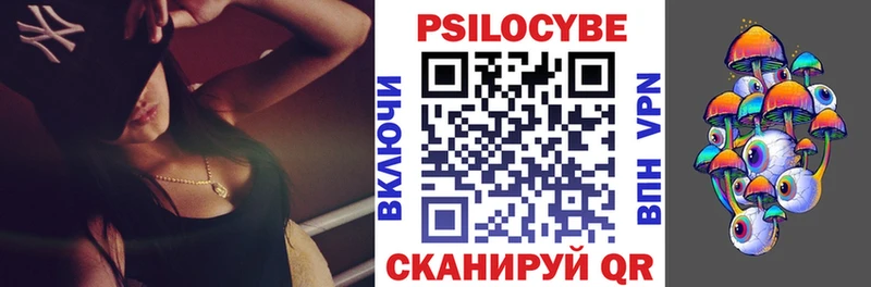 дарнет шоп  Домодедово  mega зеркало  Псилоцибиновые грибы MAGIC MUSHROOMS 